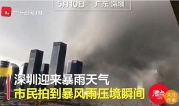 刘先生在深圳爆料视频,揭秘背后真相
