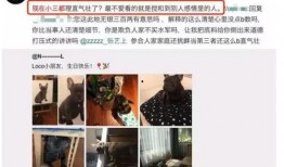 小田粉丝爆料事件视频,视频揭露惊人真相
