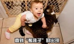 我家的熊孩子在线观看,欢乐时光与成长瞬间