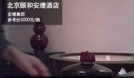 夜间酒店爆料视频真实,揭秘真实幕后事件幕后真相