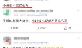 娱乐圈内公众号爆料小说,揭秘公众号爆料背后的小说世界