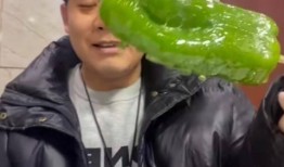 纹身店的网红吃瓜,揭秘娱乐圈幕后真相