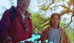 电影南方在线观看,穿越时空的浪漫之旅
