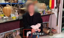 贵阳爆料博主事件视频,视频揭露背后真相引发热议