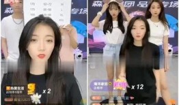 爆料醉酒全过程视频播放,一场失控的狂欢