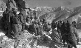 赤裸兵团在线观看高清,高清在线观看，揭秘战地风云