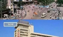 石家庄奇特爆料最新消息,奇特事件引发热议，详情揭秘！