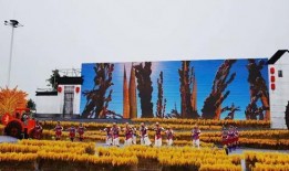 今日南京爆料最新消息新闻,聚焦城市热点事件追踪