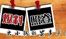 大足新闻爆料,揭秘当地热点事件背后的真相