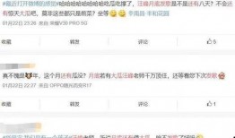 娱乐圈内公众号爆料小说,揭秘公众号爆料背后的小说世界