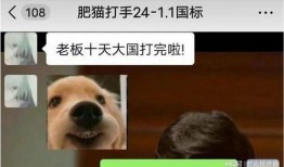 胖猫事件爆料视频,揭秘网络爆料的背后真相