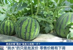 山东大瓜爆料视频最新一期,揭秘惊人内幕，真相令人震惊！