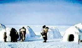 新爱斯基摩人爆料视频,揭秘神秘视频背后的真相