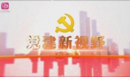 深圳龙岗新闻最新爆料,揭秘重大事件背后真相