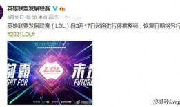 绿鹰最新爆料,揭秘神秘事件背后真相