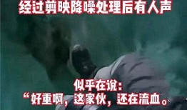 德州八卦爆料事件视频播放,视频播放背后的惊人真相揭秘