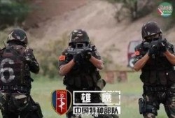特种部队在线观看,在线揭秘精英战士的惊险征程