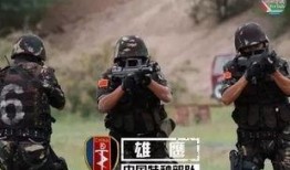 特种部队在线观看,在线揭秘精英战士的惊险征程