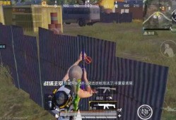 龙狮迎冰雪爆料视频下载,揭秘幕后制作过程与精彩瞬间