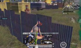 龙狮迎冰雪爆料视频下载,揭秘幕后制作过程与精彩瞬间