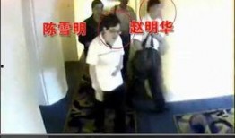 泡芙妈妈爆料截图视频,揭秘幕后真相