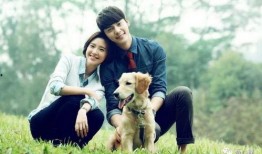 叶枫爆料边牧视频大全播放,边牧视频大全播放背后的精彩瞬间