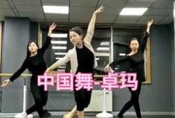 舞蹈老师视频爆料大全最新,精彩瞬间与幕后故事一网打尽