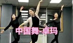 舞蹈老师视频爆料大全最新,精彩瞬间与幕后故事一网打尽