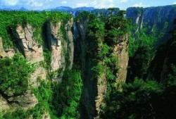 张家界跟团爆料视频播放,真实体验曝光，带你领略自然奇观背后的故事