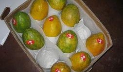 吃瓜的台湾网红是谁啊,吃瓜成瘾的台湾网红是谁？