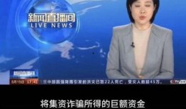 王冕老李新闻爆料视频,独家内幕大曝光