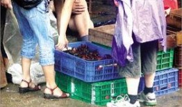 龙虾最新爆料视频,揭秘幕后真相，带你走进神秘世界