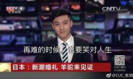爆料新闻的男主播有哪些,爆料新闻背后的男主播风云录