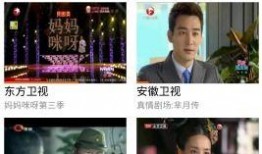 电视直播浙江卫视在线观看,浙江卫视精彩节目，一键在线观看