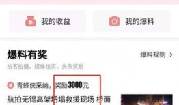 今日头条打工的爆料,揭秘打工人的真实生存状态