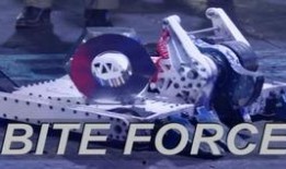 battlebots在线观看,BattleBots在线观看之旅