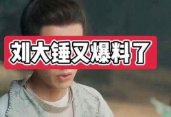 刘大锤爆料啥事件了视频,揭秘某重大事件内幕