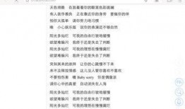 新闻爆料歌曲搞笑歌词有哪些,新闻爆料中的幽默旋律