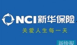 新华保险最新爆料,揭秘行业内幕，深度解析市场动态