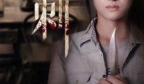 盲在线观看,体验无障碍观影新境界