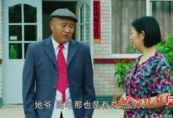 乡村爱情9下部手机在线观看免费,重温乡村温馨故事，共度欢乐时光