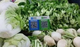 河南卖菜网红吃博洋瓜是真的吗,真相究竟如何？