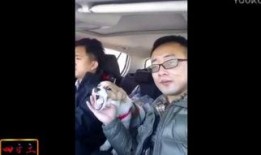 恶心视频在线观看,那些令人作呕的恶心视频