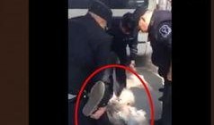 泡芙妈妈爆料截图视频,揭秘幕后真相