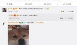 娱乐圈爆料邓伦林更新,邓伦林更新神秘事件曝光