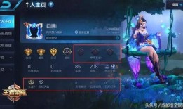 王者灵动爆料视频大全最新