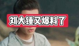 刘大锤9月份爆料视频,9月重磅爆料视频深度解析
