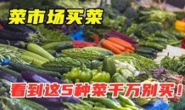河南卖菜网红吃博洋瓜是真的吗,真相究竟如何？