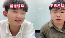 蛋仔主播爆料视频大全集,揭秘幕后真相与精彩瞬间