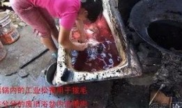 辣条生产爆料视频大全集,爆料视频大全集深度解析